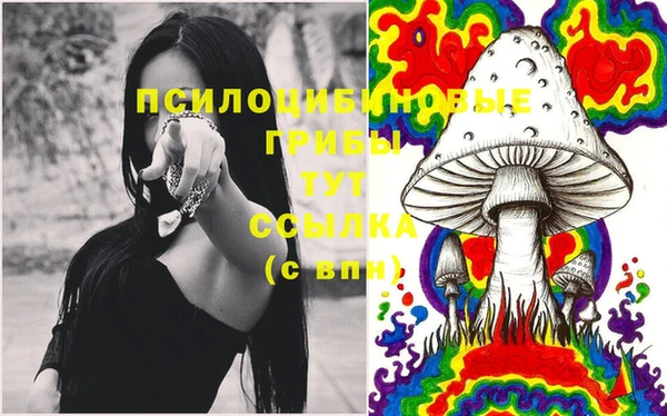 mdma Рославль