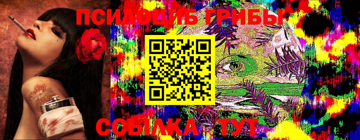 Галлюциногенные грибы Cubensis  Вход с VPN  Псилоцибиновые грибы Psilocybine cubensis  Похвистнево 